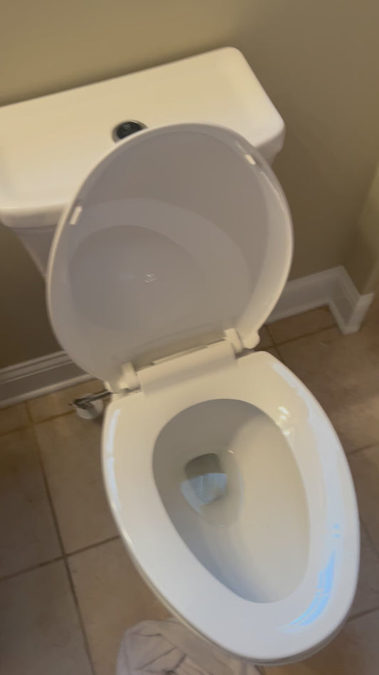 Toilet Installation